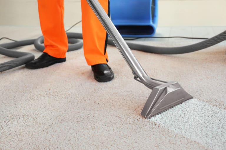 Professional Carpet Cleaning Christchurch CleaningPRO